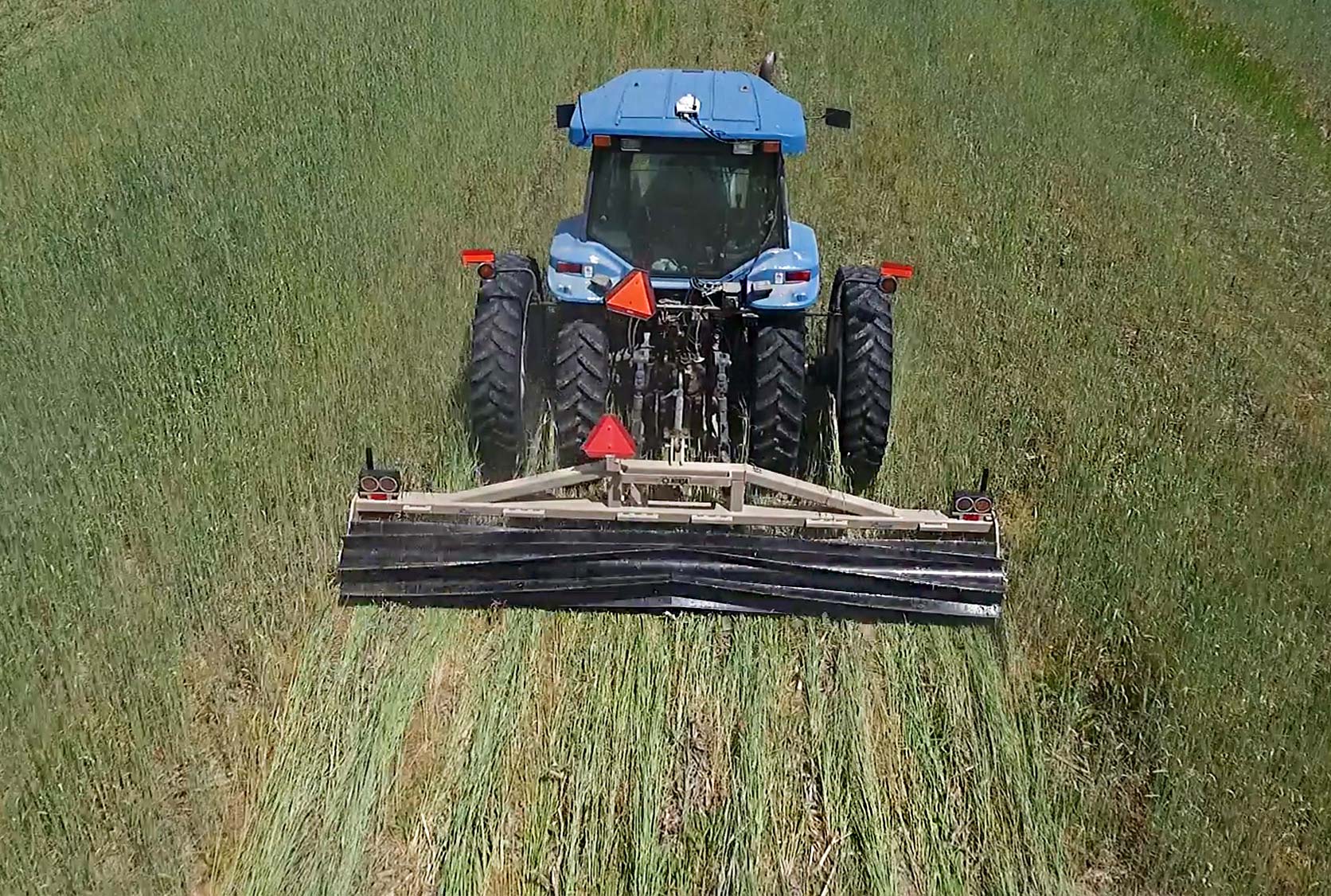Cover-Crop-Crimper-in-Rye- Cover-Crop-Crimper-in-Rye-